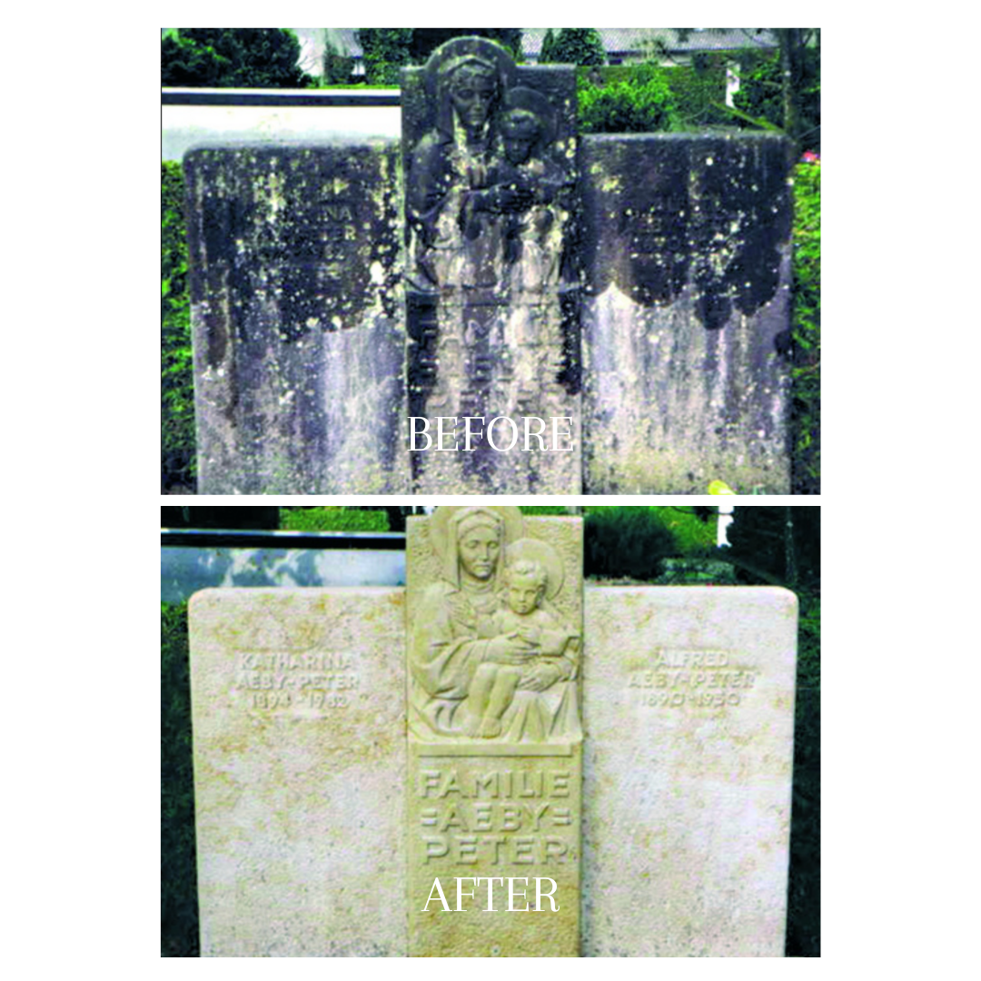 FINALIT NO. 10 ALGAE AND MOSS KILLER (ACIDIC)